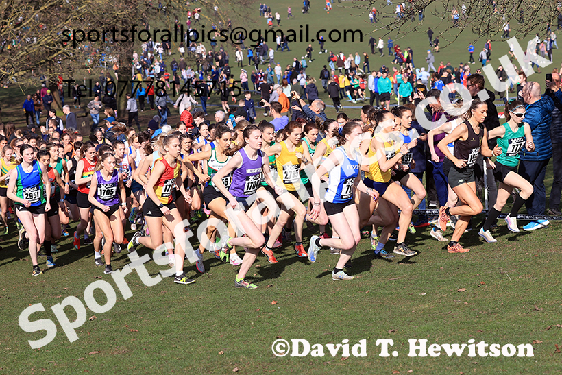 Senior womens 2025 UK CAU Inter Counties Cross Country Champs., Wollaton Park, Nottingham. Photo: David T. Hewitson/Sports for All Pics